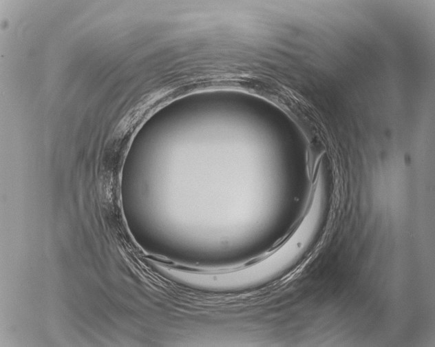 X0000053091161200508081303