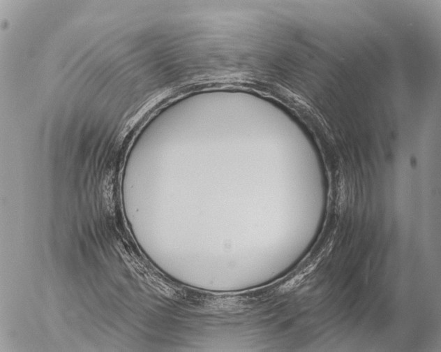 X0000053091162200508081303