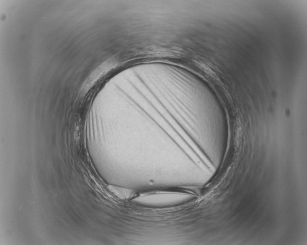 X0000053091163200508081303