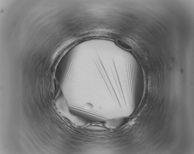 X0000053091164200508081303