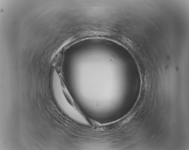 X0000053091165200508081303