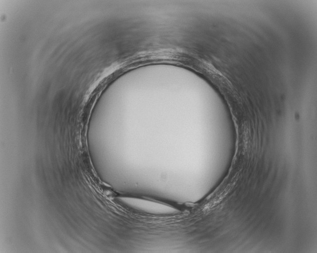 X0000053091166200508081303