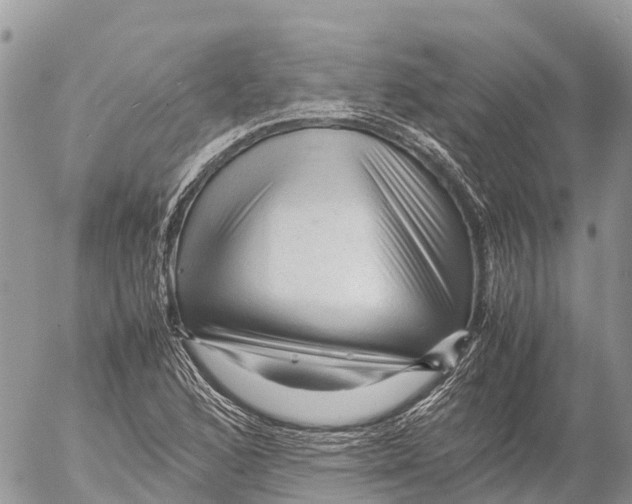 X0000053091168200508081303