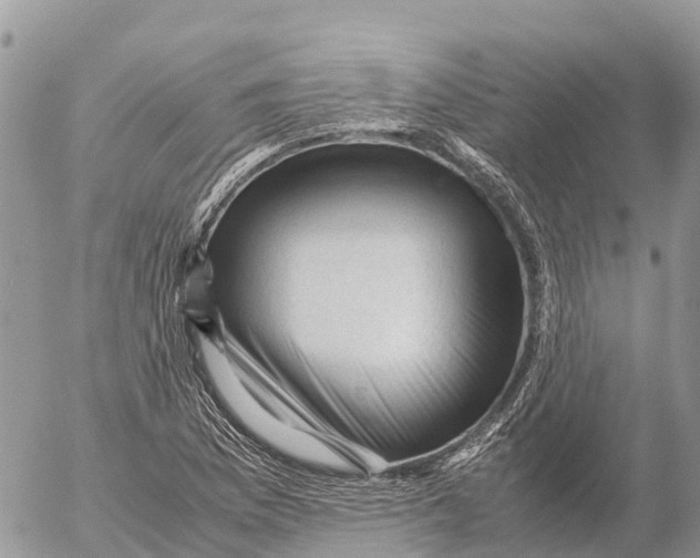 X0000053091169200508081303