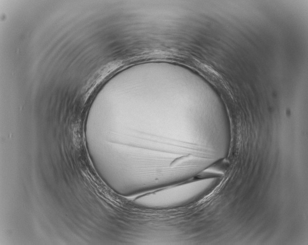 X0000053091170200508081303