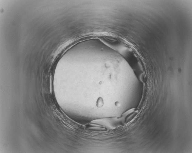 X0000053091171200508081303