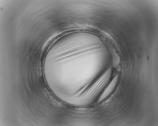 X0000053091172200508081303