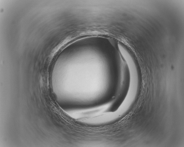 X0000053091173200508081303