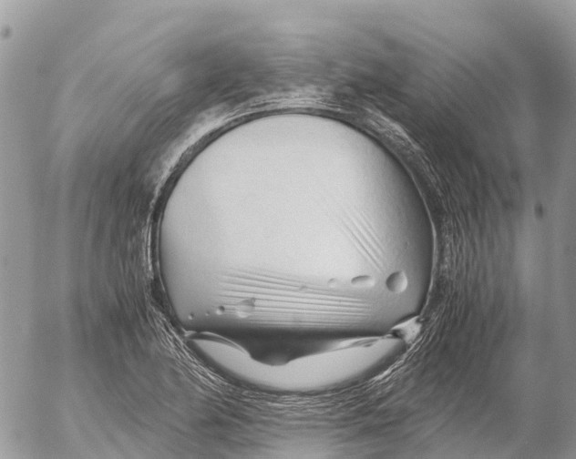 X0000053091174200508081303