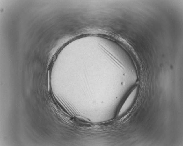 X0000053091175200508081303