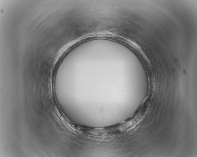 X0000053091176200508081303