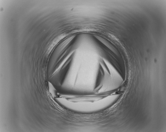 X0000053091177200508081303