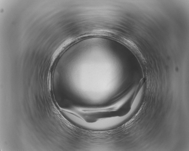 X0000053091180200508081303