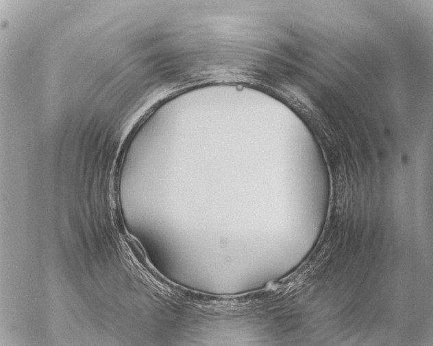 X0000053091182200508081303