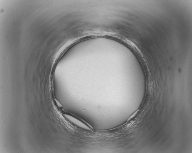 X0000053091183200508081303