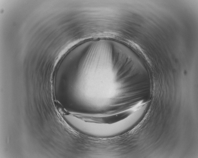 X0000053091184200508081303