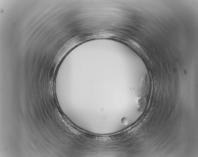 X0000053091186200508081303