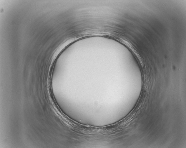 X0000053091187200508081303