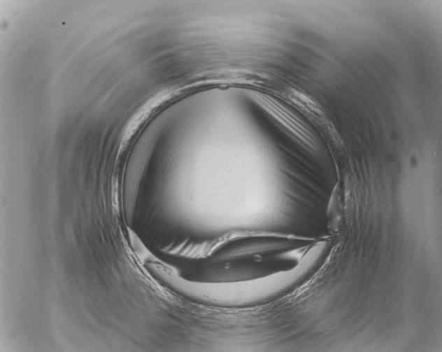 X0000053091188200508081303