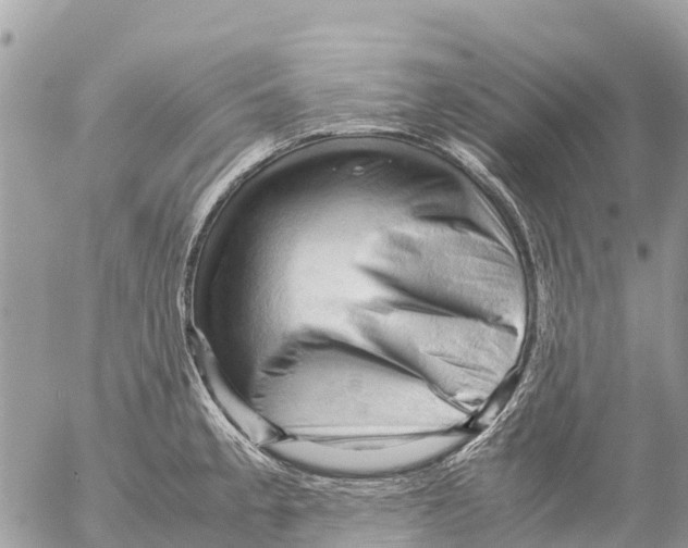 X0000053091189200508081303