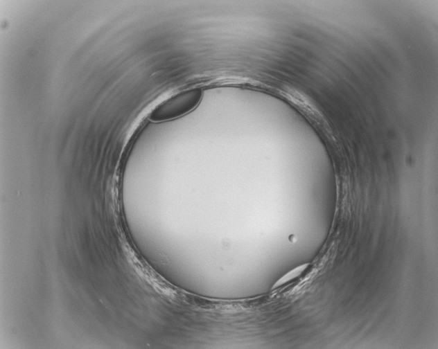 X0000053091190200508081303