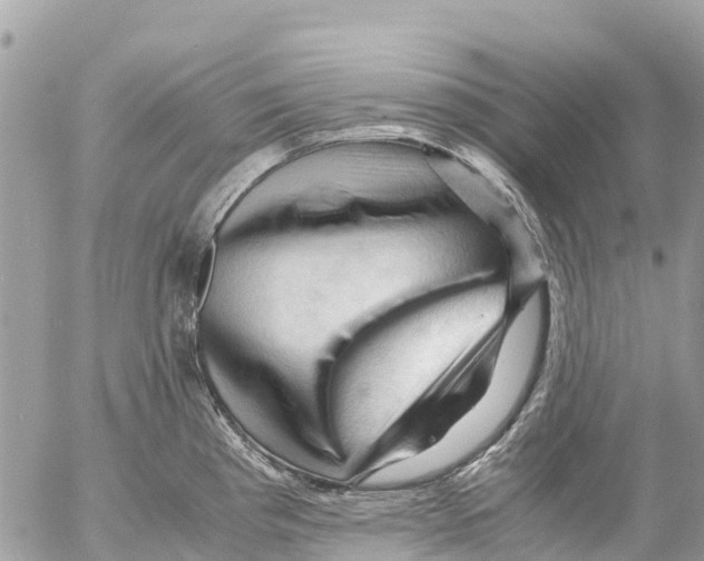 X0000053091193200508081303