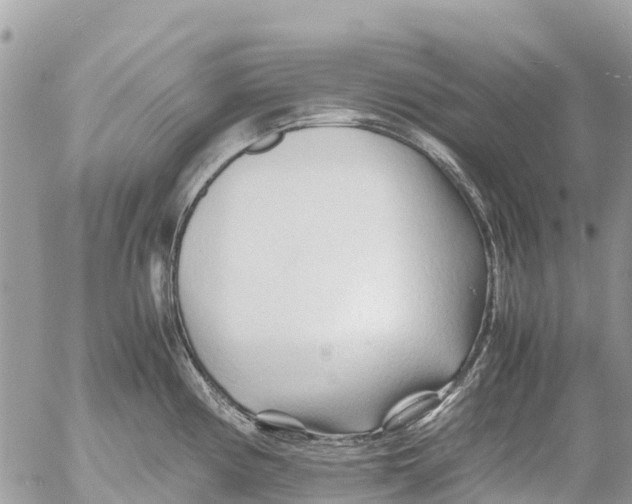 X0000053091194200508081303