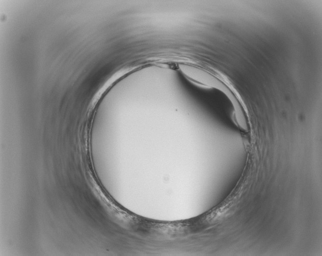 X0000053091195200508081303