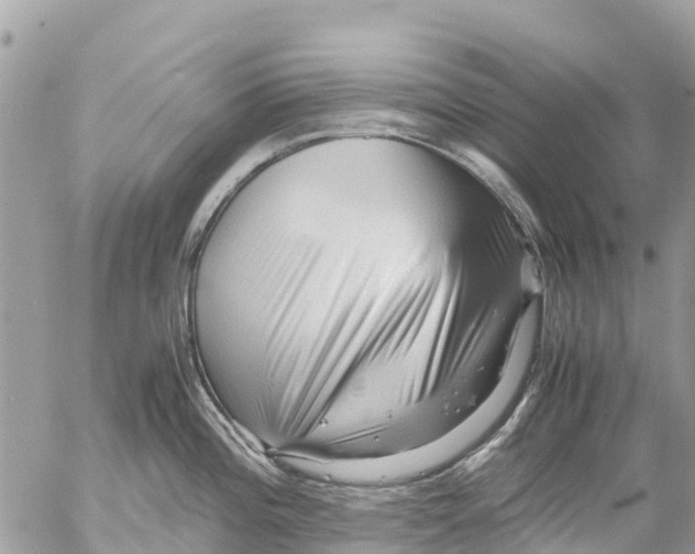 X0000053091196200508081303