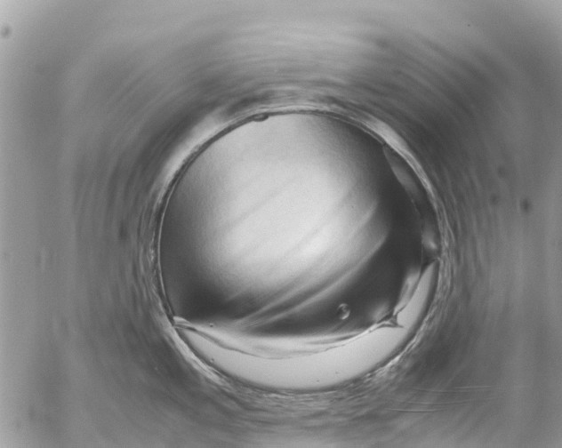 X0000053091197200508081303