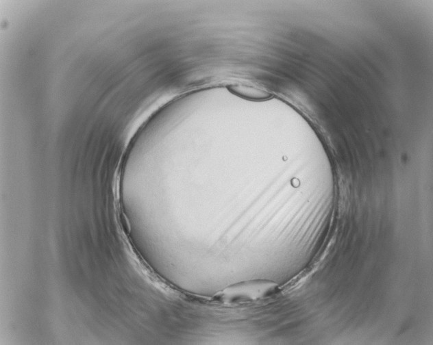 X0000053091198200508081303