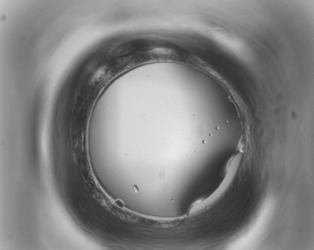 X0000053091199200508081303