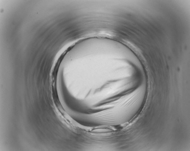 X0000053091200200508081303