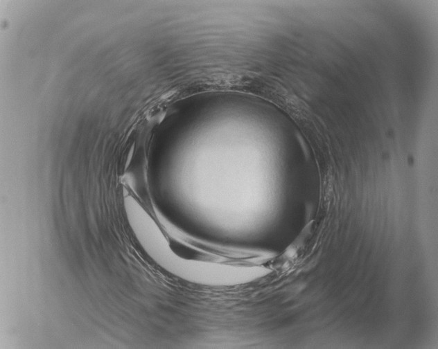 X0000053091202200508081302