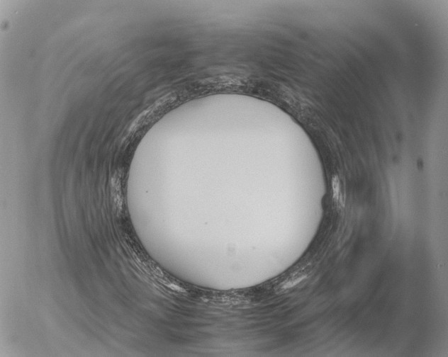 X0000053091203200508081302