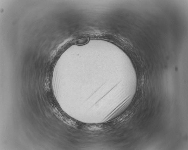 X0000053091205200508081302