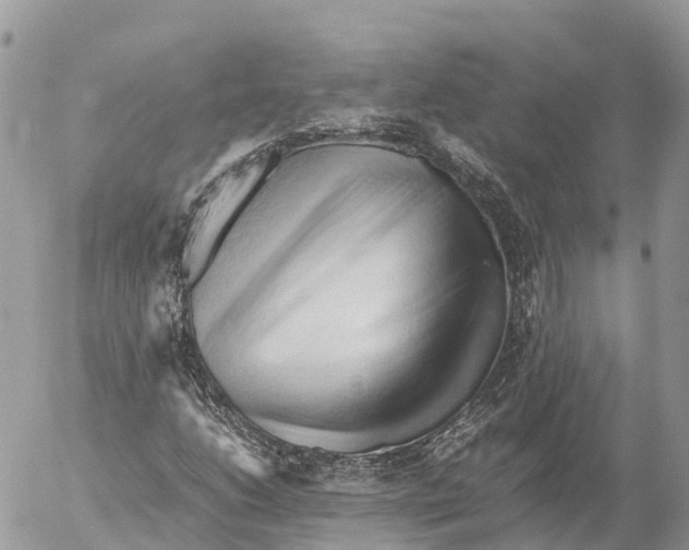 X0000053091206200508081302