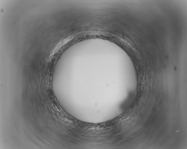 X0000053091207200508081302