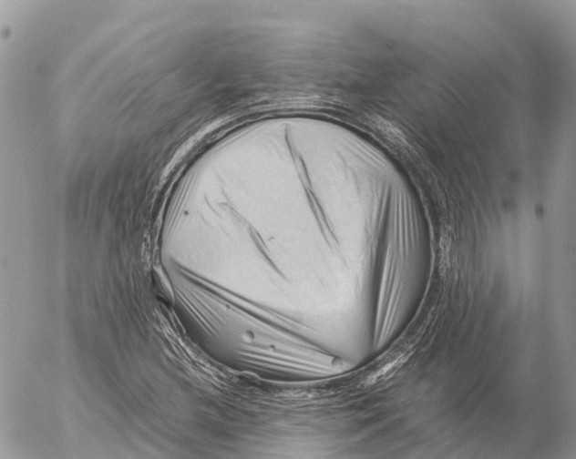 X0000053091212200508081302