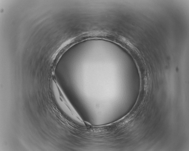 X0000053091213200508081302