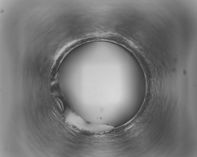 X0000053091214200508081302