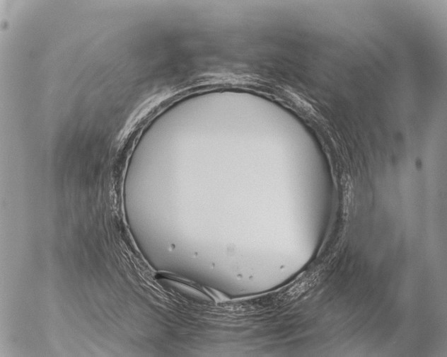 X0000053091215200508081302