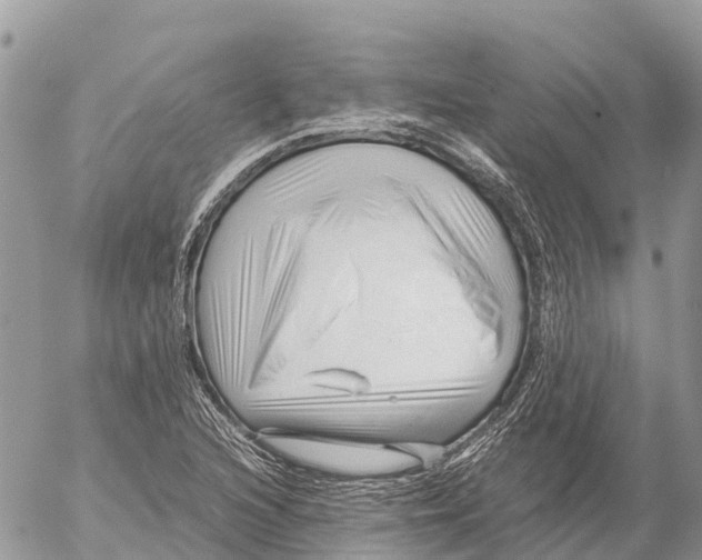 X0000053091216200508081302