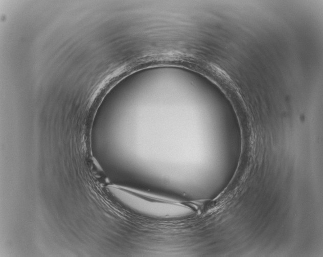 X0000053091218200508081302