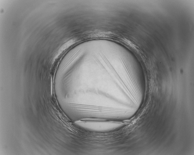 X0000053091219200508081302