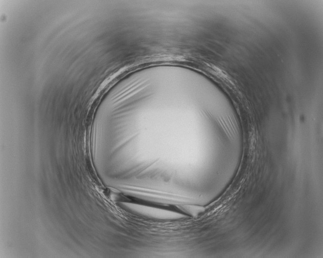 X0000053091220200508081302