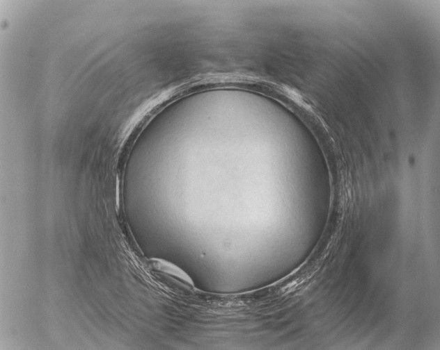 X0000053091221200508081302