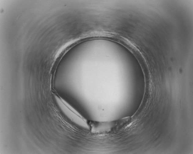 X0000053091222200508081302