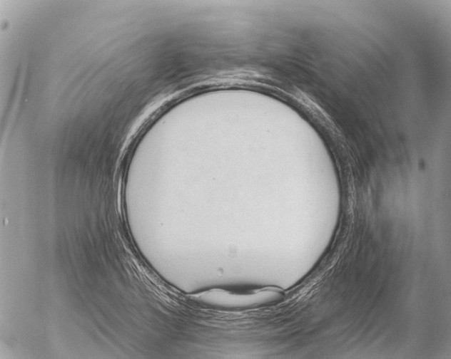 X0000053091224200508081302