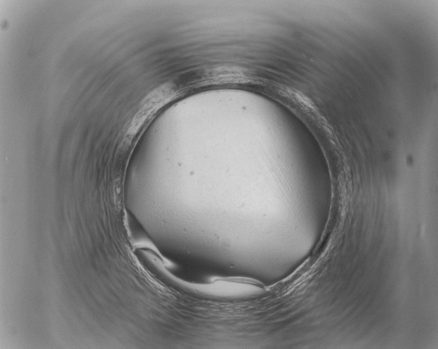 X0000053091225200508081302